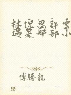 林倪思许云峥祁遇是哪部小说