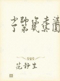 少帅你老婆又跑了第几集圆房