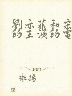 刘亦菲和宋承宪的主演的电视剧