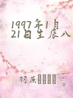 1997年1月21日生辰八字