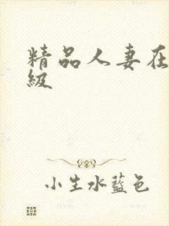 精品人妻在线三级