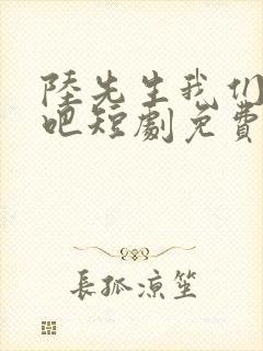 陆先生我们结婚吧短剧免费观看全集高清