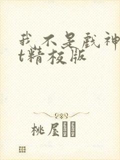 我不是戏神txt精校版