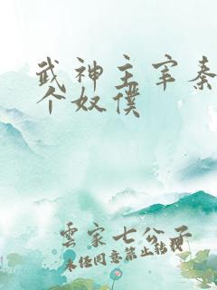 武神主宰秦尘几个奴仆