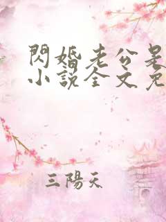 闪婚老公是豪门小说全文免费阅读无弹窗