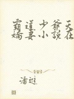 霸道少爷天才小娇妻小说在线阅读全文