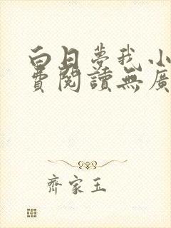 白日梦我小说免费阅读无广告