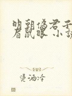 明朝伪君子 贼眉鼠眼 小说