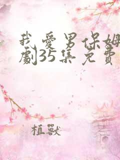 我爱男保姆电视剧35集免费观看