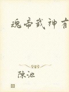 魂帝武神有声