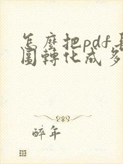 怎么把pdf长图转化成多张图片