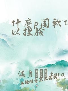 什么p图软件可以捏脸