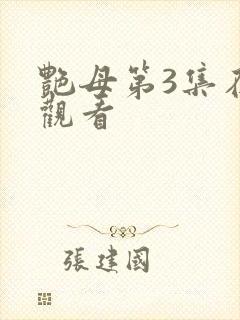 艳母第3集在线观看