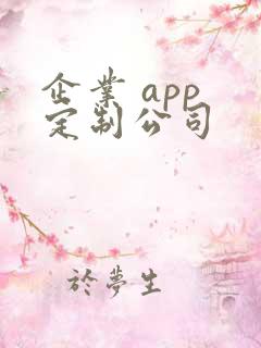 企业 app 定制公司