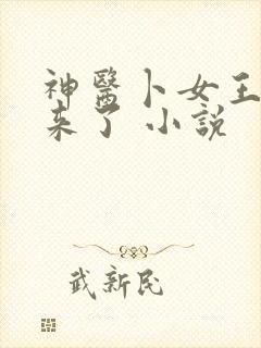 神医卜女王妃回来了 小说