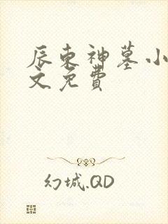 辰东神墓小说全文免费
