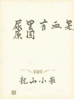 尿里有血是什么原因