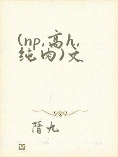 (np,高h,纯肉)文
