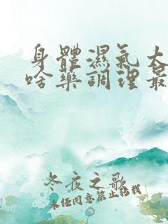 身体湿气太重吃啥药调理最快