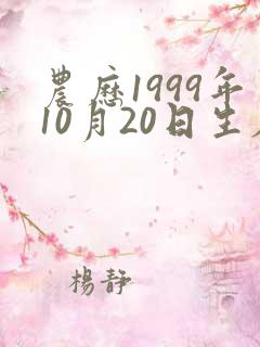 农历1999年10月20日生辰八字