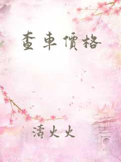 查车价格