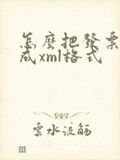 怎么把发票转换成xml格式