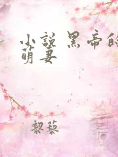 小说 黑帝的呆萌妻
