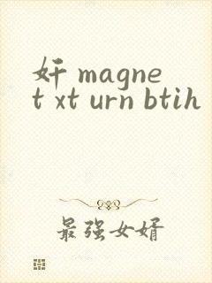 奸 magnet xt urn btih