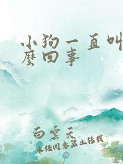 小狗一直叫唤怎么回事