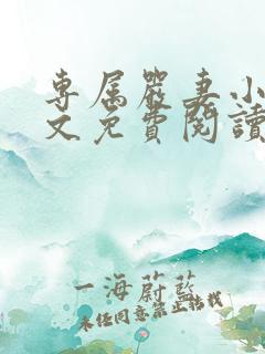 专属严妻小说全文免费阅读