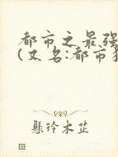 都市之最强狂兵(又名:都市狂枭) 大红大紫