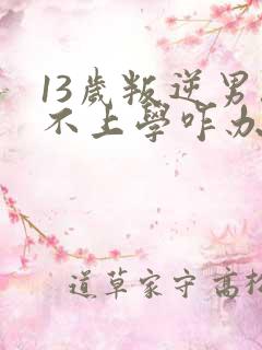 13岁叛逆男孩不上学咋办?