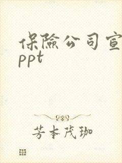 保险公司宣讲会ppt