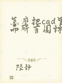 怎么把cad里面所有图转成pdf格式