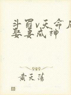 斗罗v天命反派娶妻成神