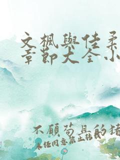 文枫与佳柔全集章节大全小说