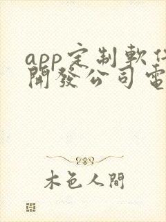 app定制软件开发公司电话