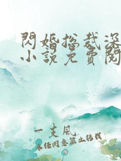 闪婚总裁深度爱小说免费阅读