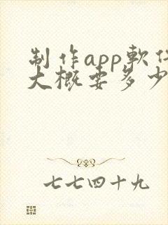 制作app软件大概要多少钱