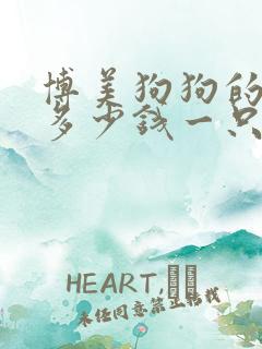 博美狗狗的价格多少钱一只