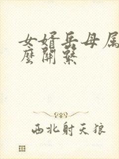 女婿岳母属于什么关系
