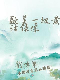 欧美一级黄色生活录像