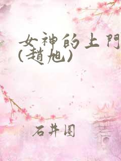 女神的上门贵婿(赵旭)