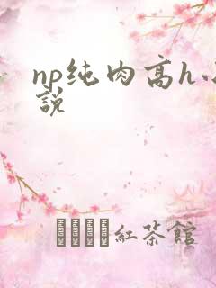 np纯肉高h小说