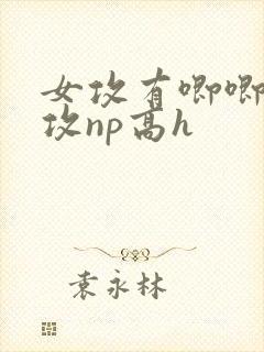 女攻有唧唧的女攻np高h