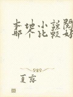 本地小说阅读器哪个比较好