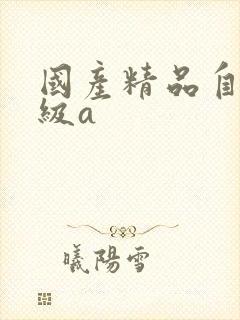 国产精品自拍一级a