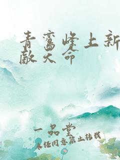青鸾峰上新书无敌天命