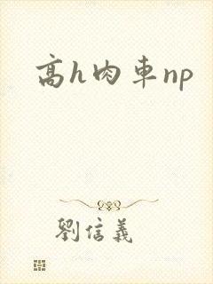 高h肉车np