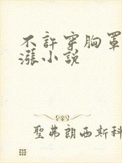 不许穿胸罩h奶涨小说